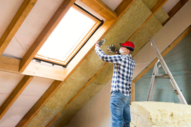 Best Insulation Air Sealing  in Indian Head Park, IL