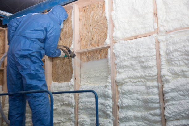 Eco-Friendly or Green Insulation Solutions in Indian Head Park, IL